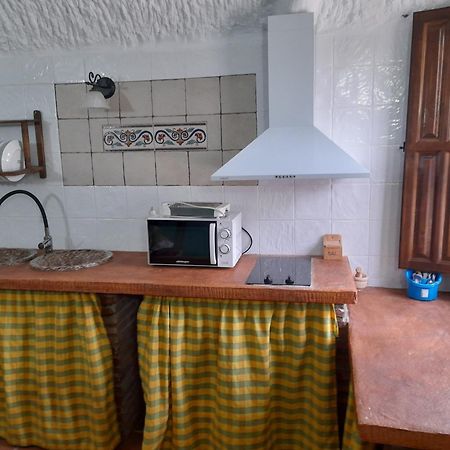 Benalúa de Guadix Cuevas La Chumberaゲストハウス エクステリア 写真