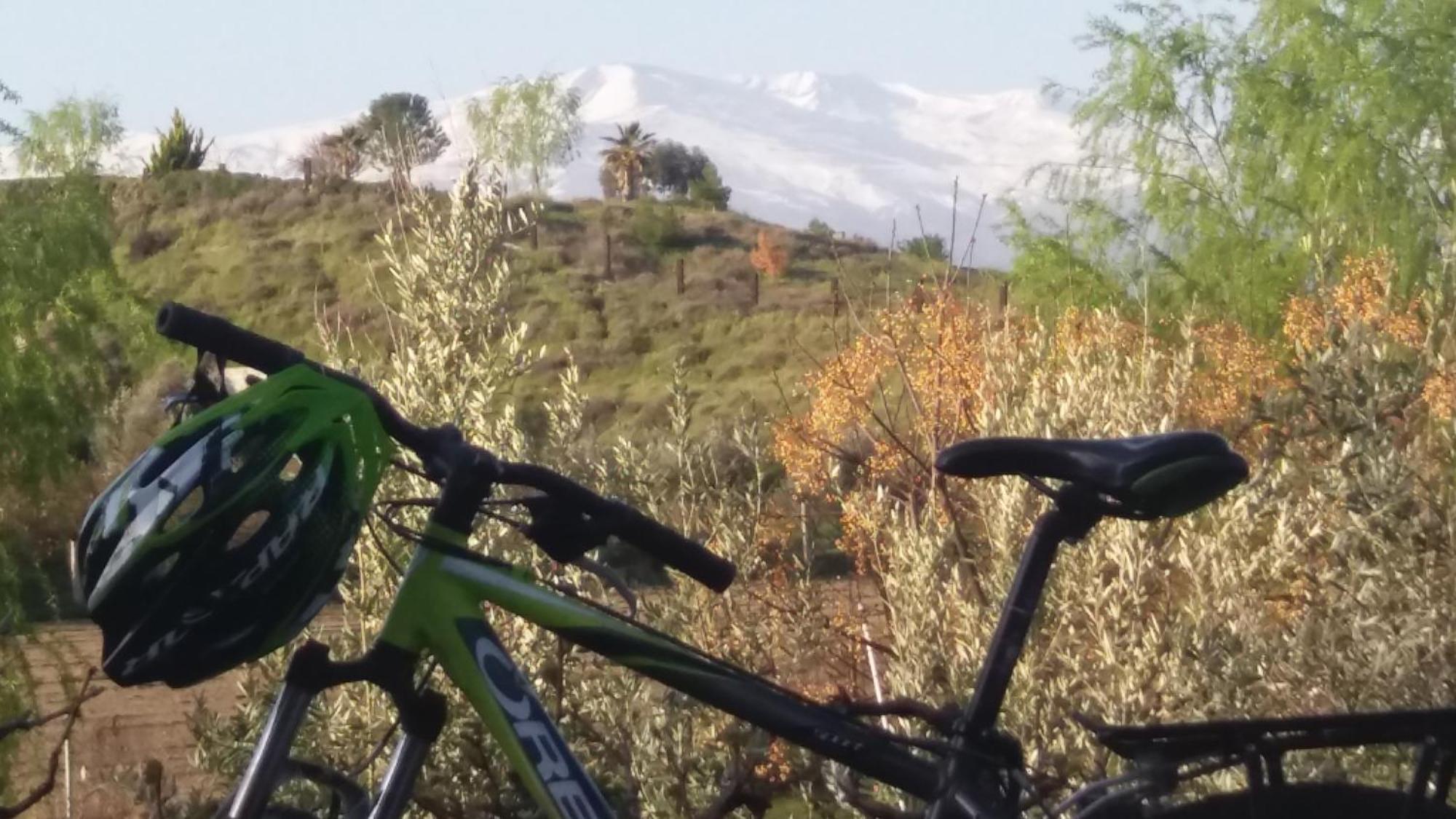 Benalúa de Guadix Cuevas La Chumberaゲストハウス エクステリア 写真